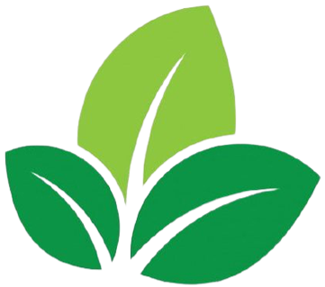 CÔNG TY TNHH MTV LÂM NGHIỆP LƠ KU
